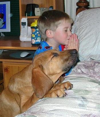 dog.boy.metta.praying