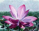 lotus-painting-10-2020