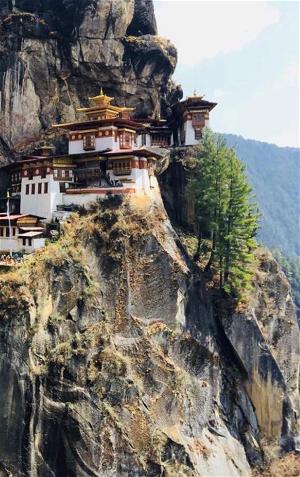 Toi di Bhutan (1)