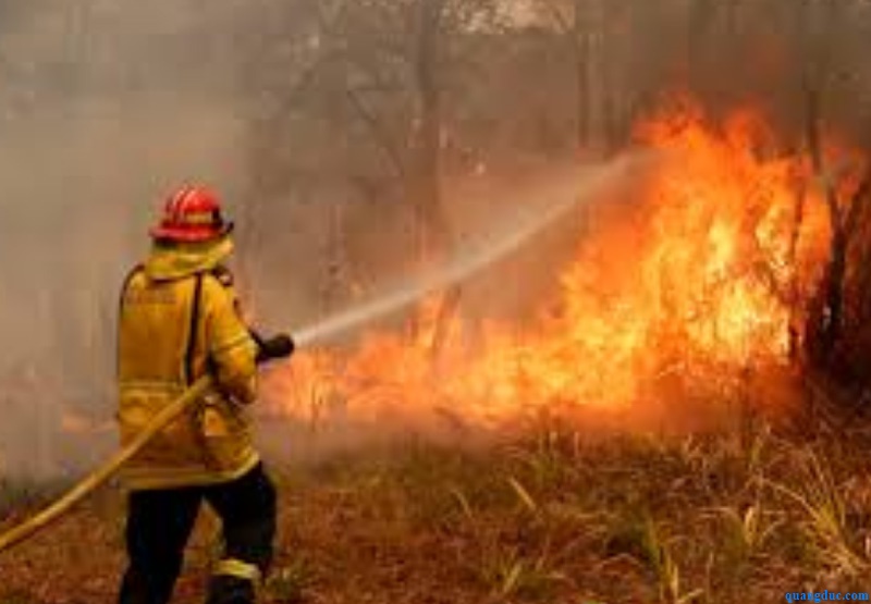 Bush fire in nsw--2019 (7)