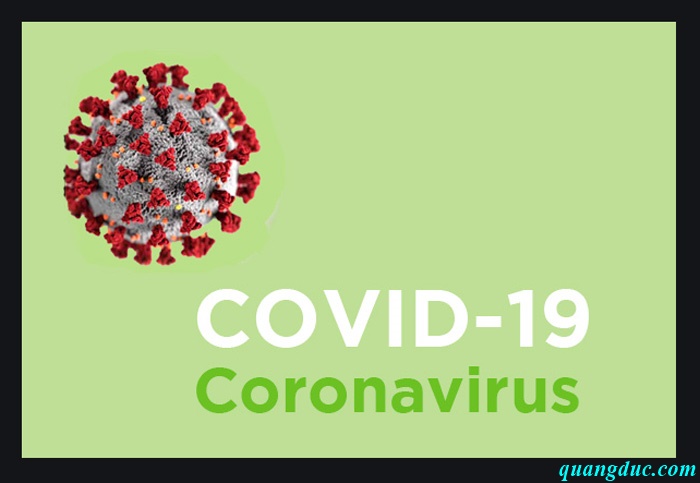 corona virus-12