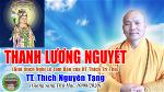 50-tt-thich-nguyen-tang-thanh-luong-nguyet-