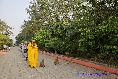 Lumbini (31)