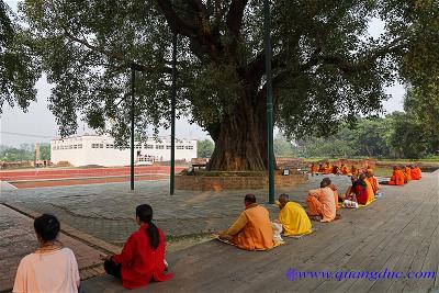 Lumbini (127)