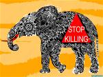 stop-killling-