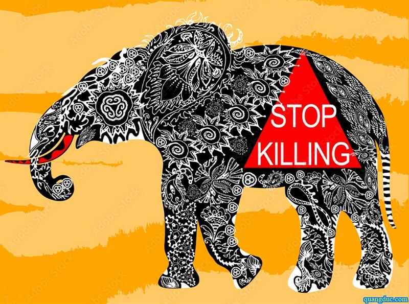 stop killling-
