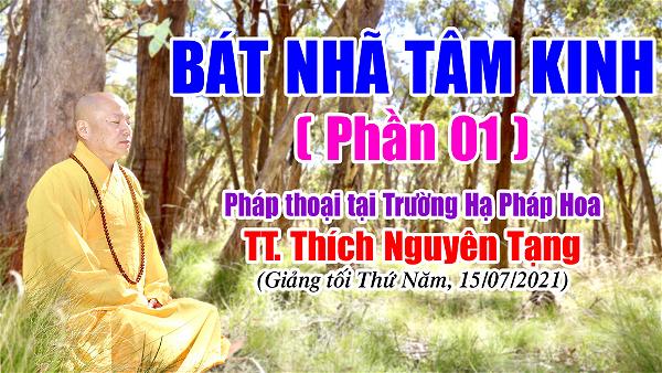 TT Thich Nguyen Tang_Bat Nha Tam Kinh_01