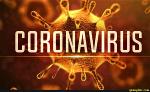 corona-virus