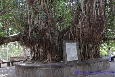 Ajanta cave (13)