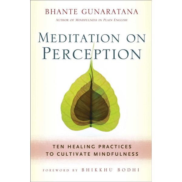 meditation-on-perception