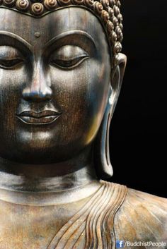 buddha-448