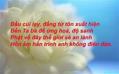 Le Phat Dan 2642_Hien Nhu (68)
