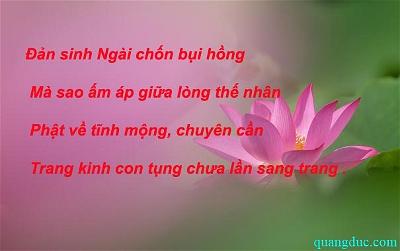 Le Phat Dan 2642_Hien Nhu (64)