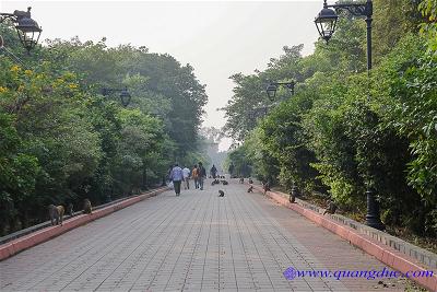 Lumbini (14)