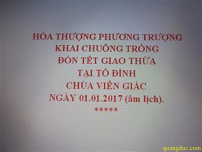 Chua Vien Giac_Xuan Dinh Dau 2017 (1)