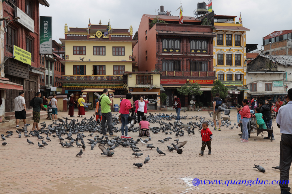 Day 7_ Hanh huong Nepal (156)