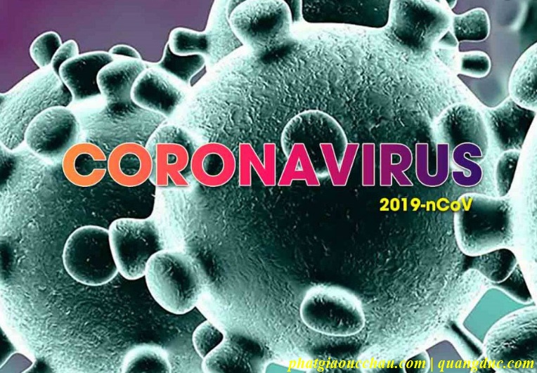 Corona virus-6