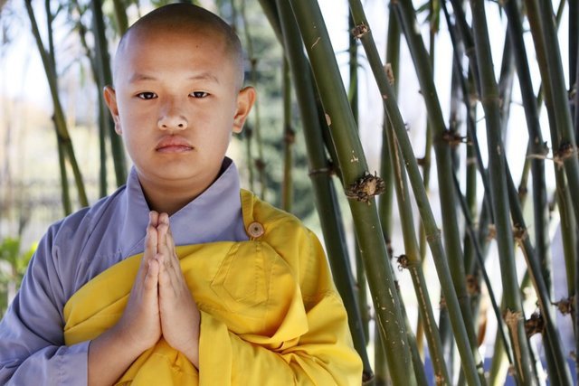 youngmonk-thich tinh lien-1