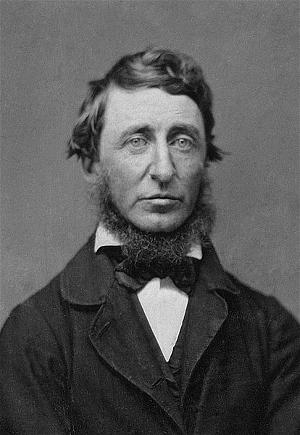 Henry David Thoreau_Wikipedia