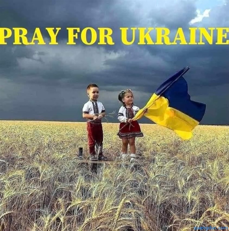 Ukraine-chien su (1)