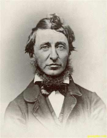 Chân dung Cư sĩ Phật tử cư sĩ Phật tử Henry David Thoreau