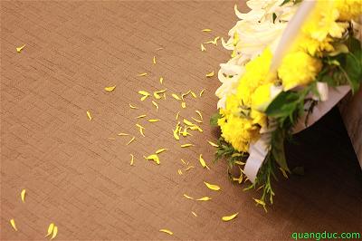 Lle di quan hoa tang luat su Nguyen Tan Si (93)