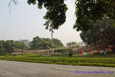 Lumbini (126)