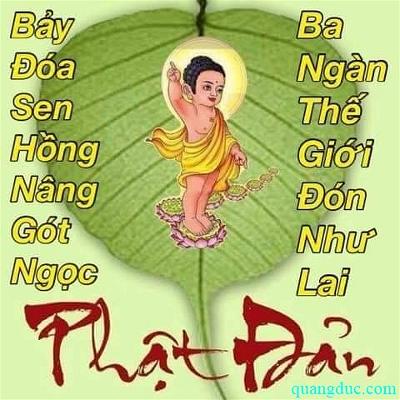 Le Phat Dan 2642_Hien Nhu (15)