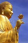 buddha-lotus-1