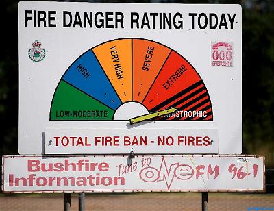 Bush fire in nsw--2019 (3)