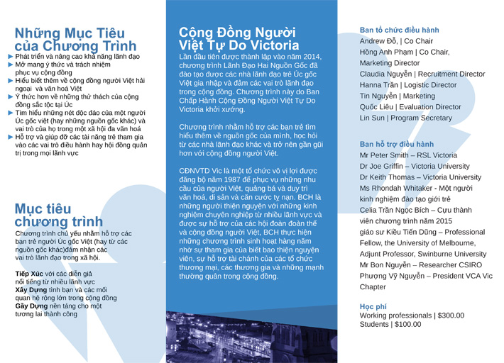 DILP Viet brochure final 13Jan2016-2