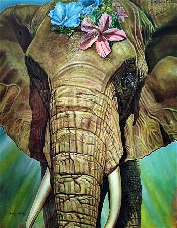indian elephant_1
