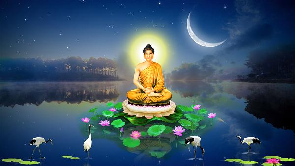 buddha and lotus