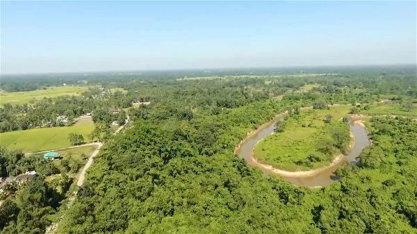 Ấn Độ Tu sĩ Phật giáo Sáng kiến Khuyến khích Bảo vệ Rừng ở bang Assam 1