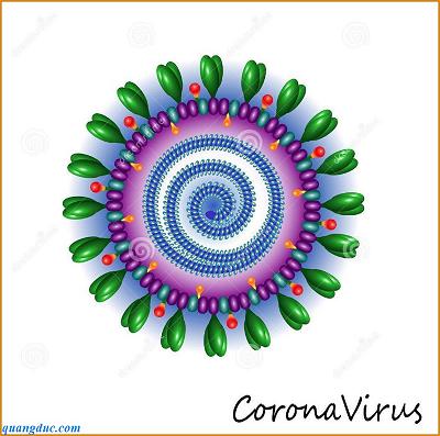corona virus 4