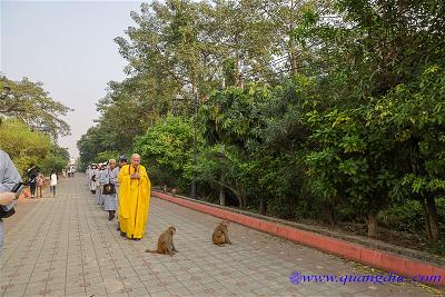 Lumbini (30)