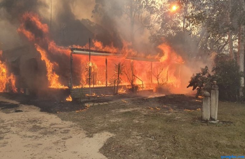 Bush fire in nsw--2019 (6)