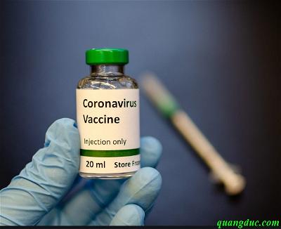 corona virus 3