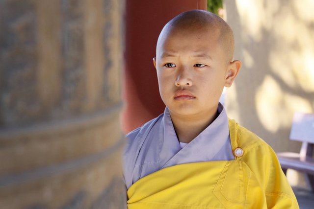 youngmonk-thich tinh lien-2