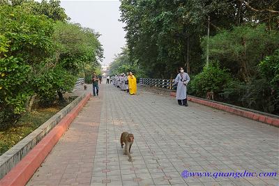 Lumbini (19)