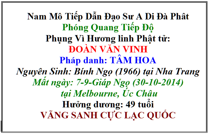 Phattu Doan Van Vinh